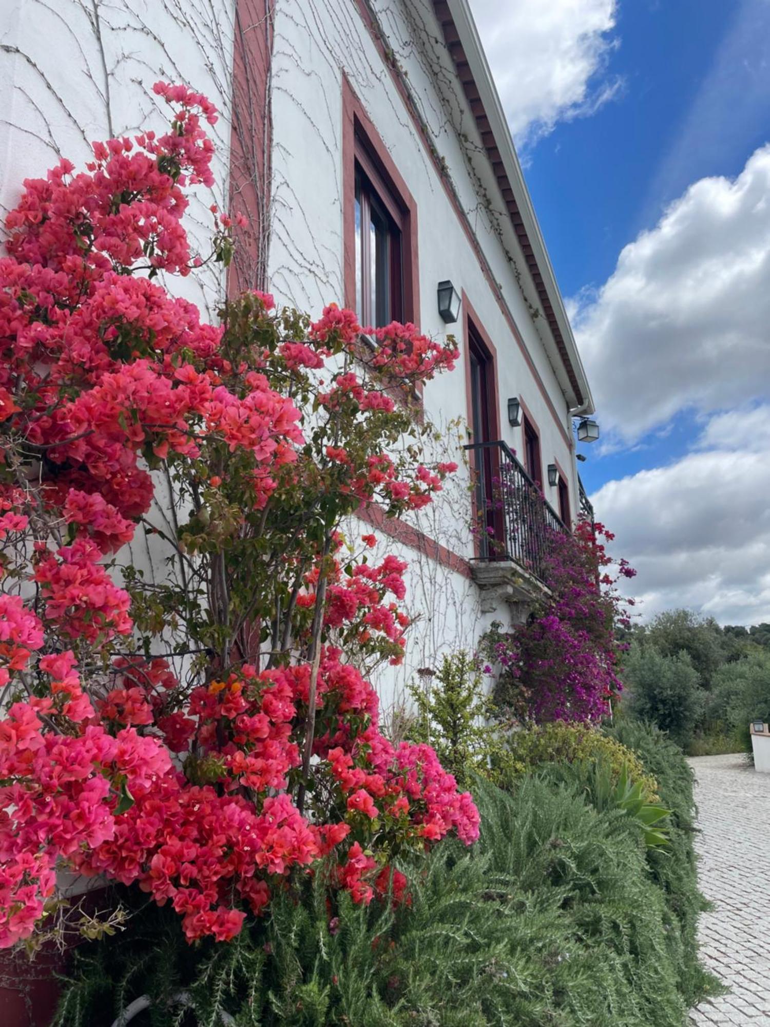 몬테모르오노보 Quinta Da Asneira 아파트 외부 사진