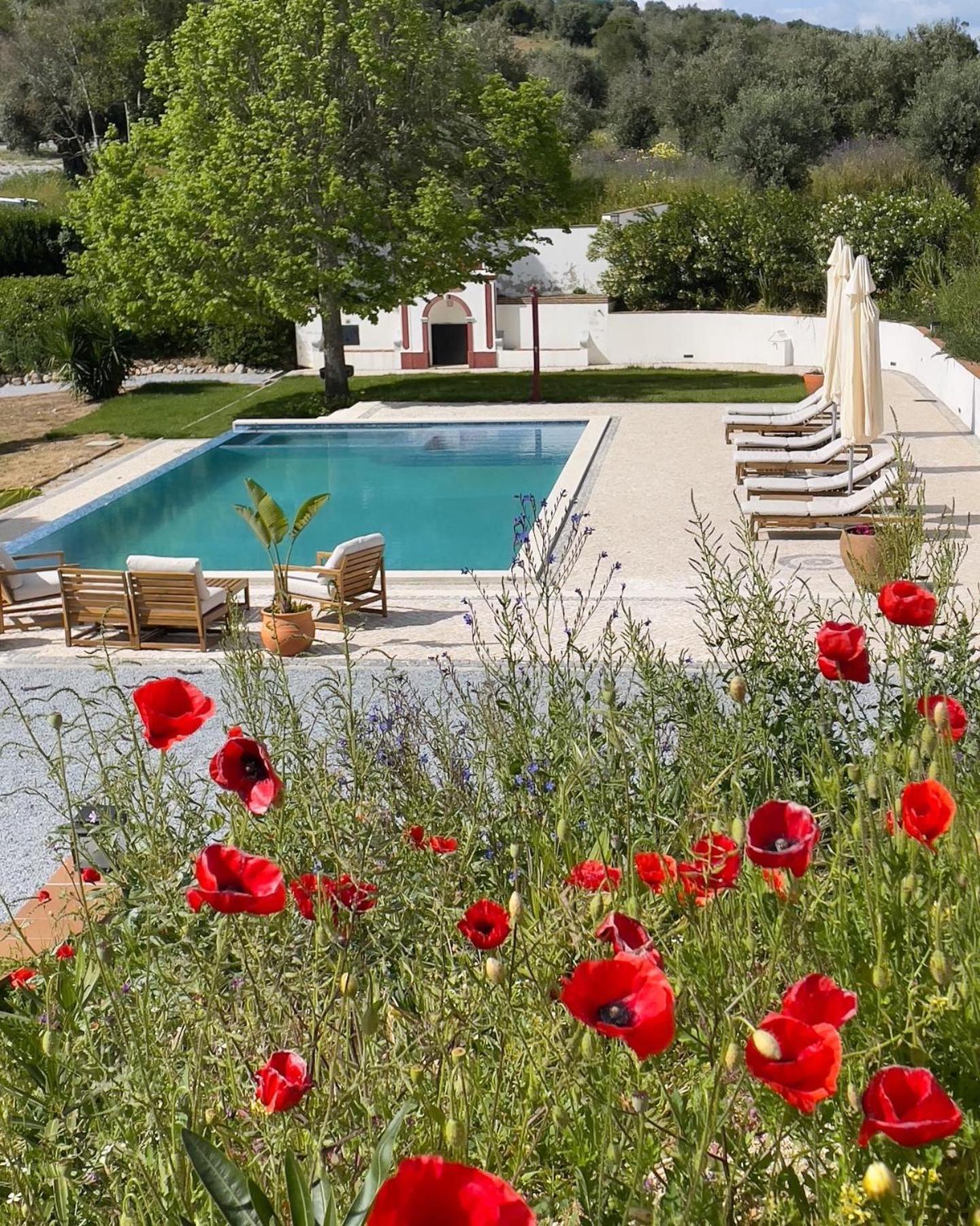 몬테모르오노보 Quinta Da Asneira 아파트 외부 사진
