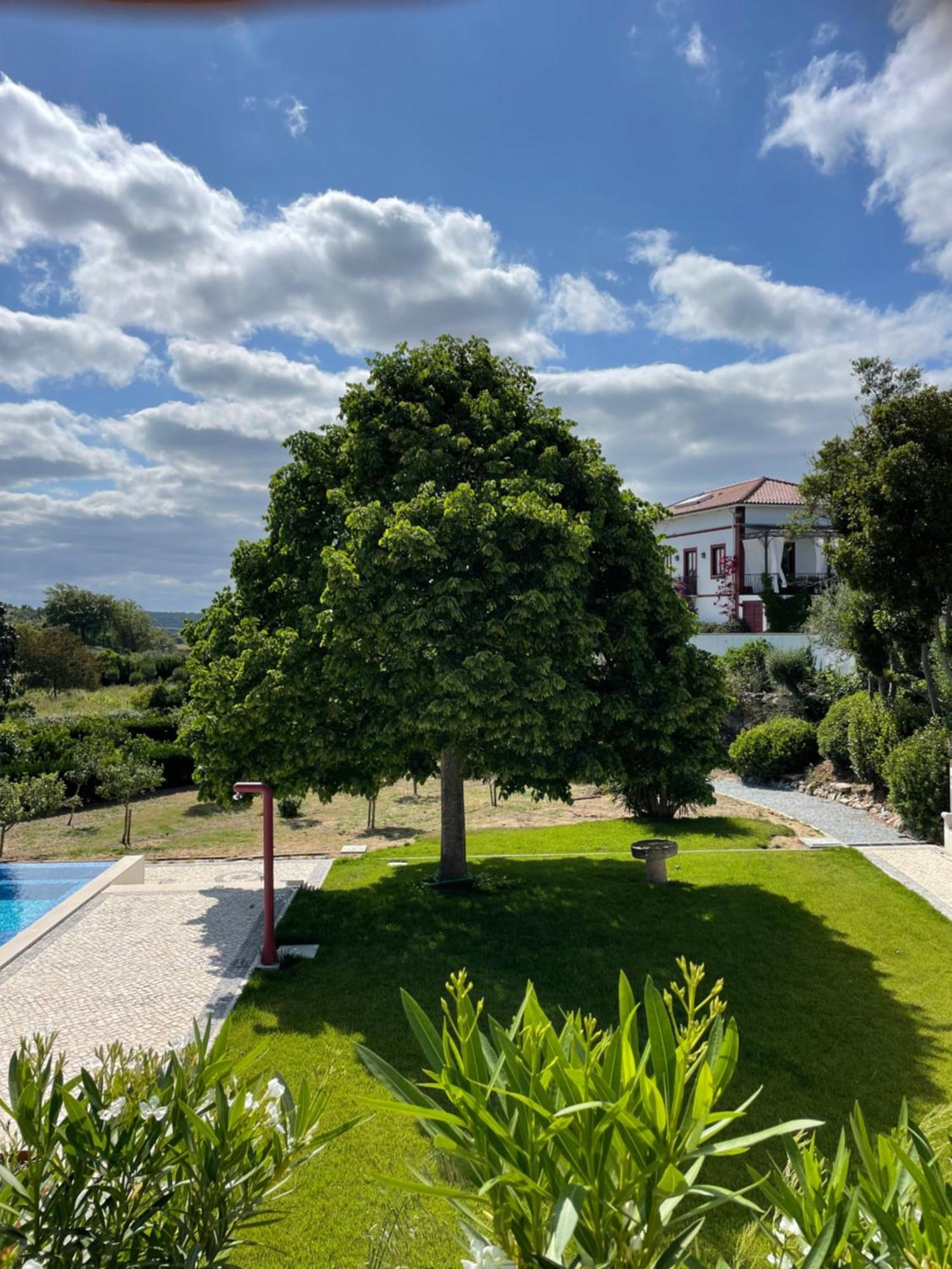 몬테모르오노보 Quinta Da Asneira 아파트 외부 사진